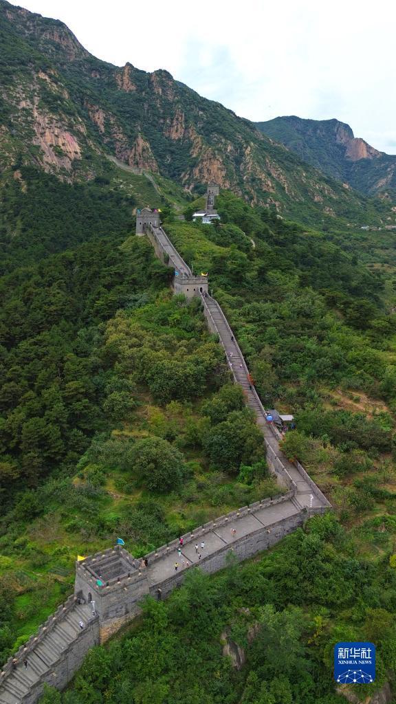 永利免费试玩